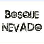 Ushuaia: Bosque Nevado un sitio para despertar