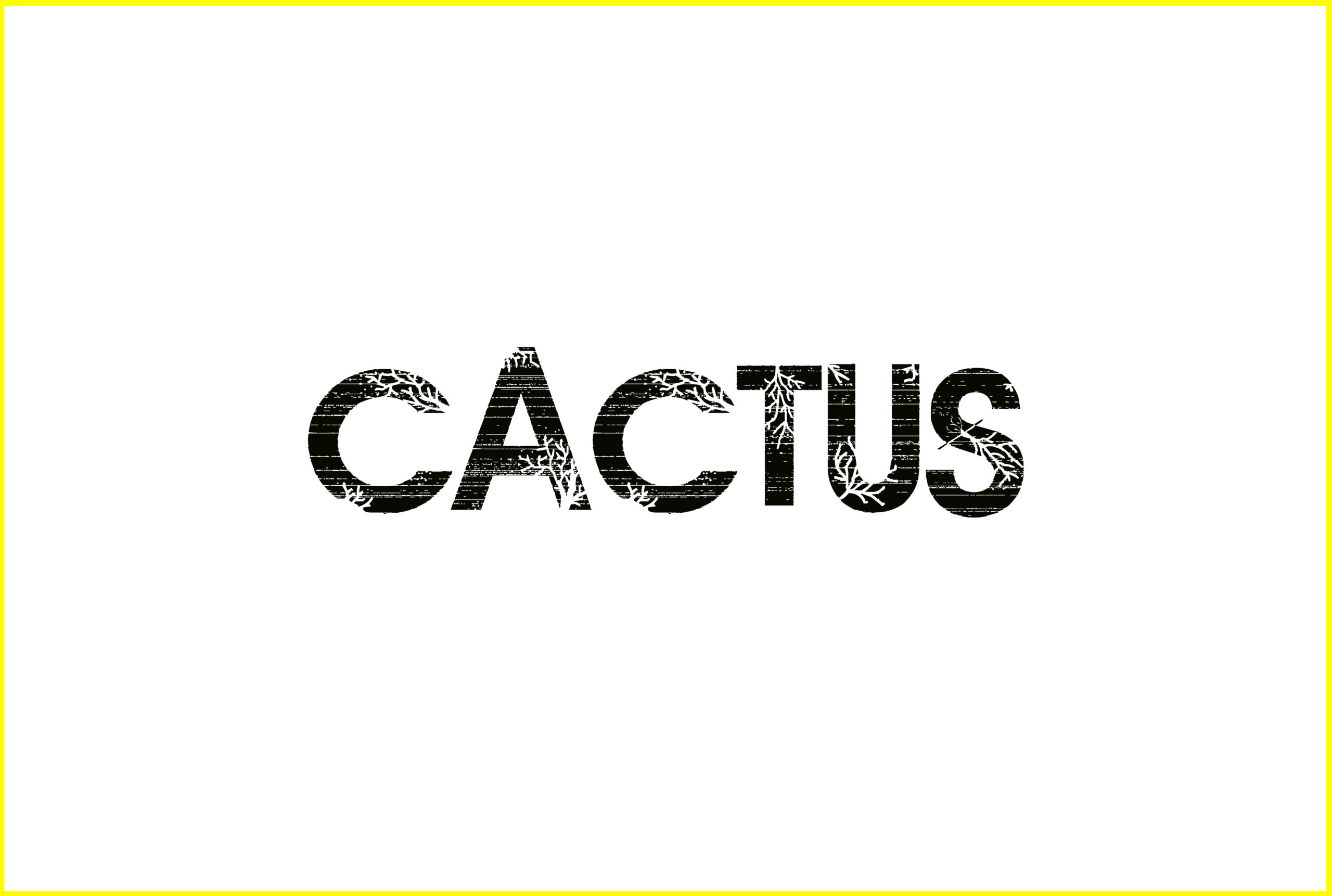 Cactus