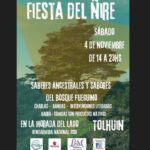 Festival Provincial del Ñire.