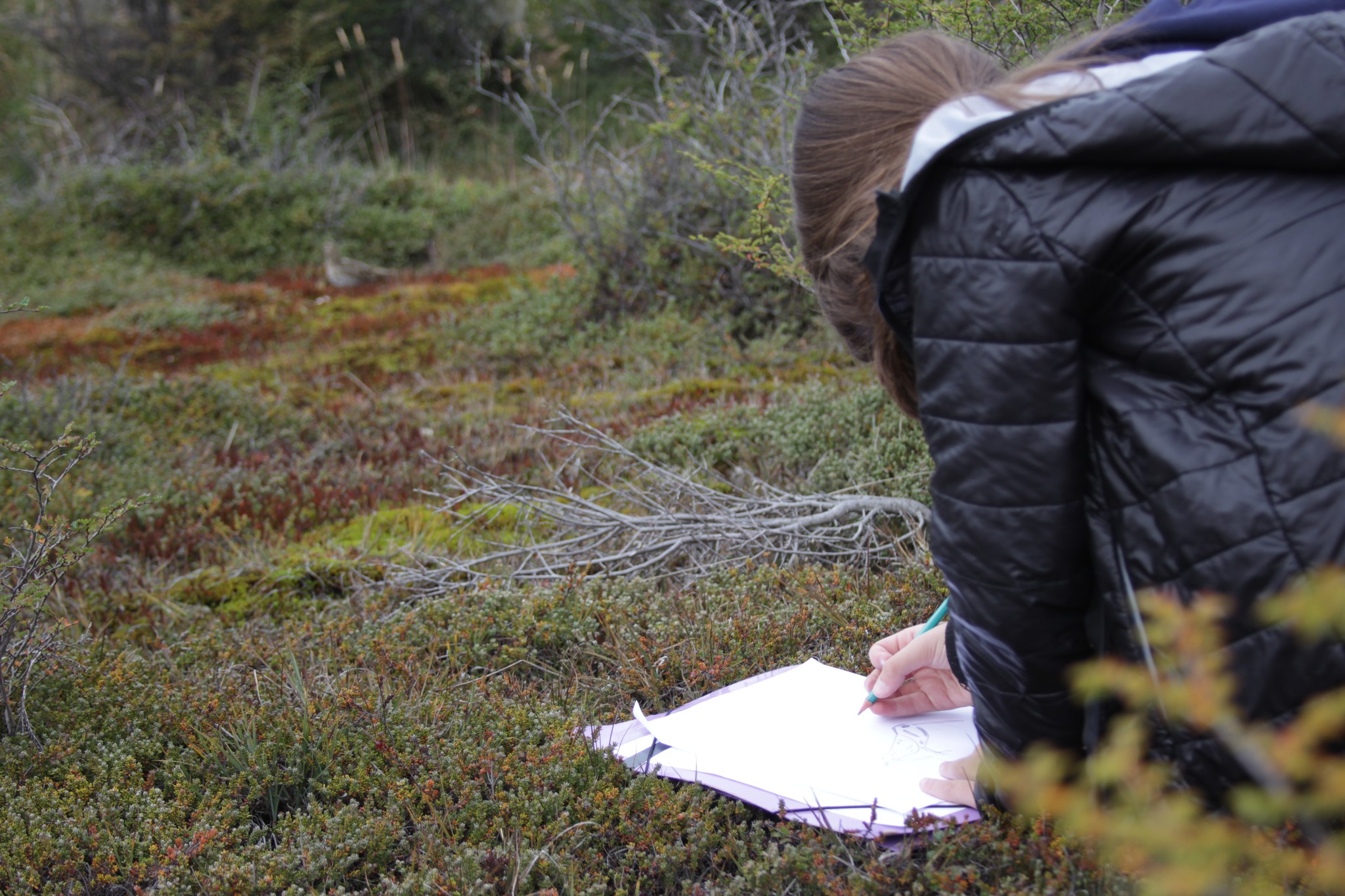 Turbal: Identidad y Territorio. Foto: NOTRO ESPACIO
